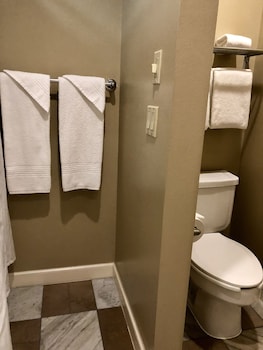 Room, 1 King Bed, Accessible, Non Smoking
