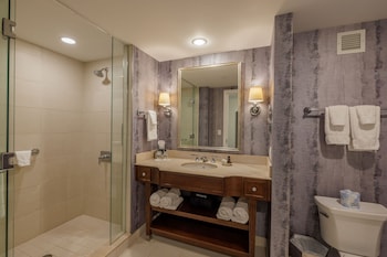 Executive Suite, 1 King Bed with Sofa bed