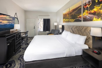 Room, 1 King Bed, Accessible, Non Smoking