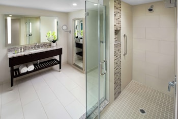Suite, 1 King Bed
