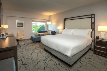 Room, 1 King Bed