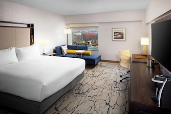 Room, 1 King Bed