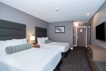 Room, 1 King Bed (Run of House, 1 King Bed)