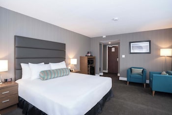Standard Room, 1 King Bed
