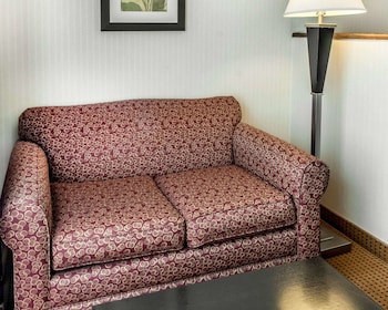 Suite, 1 King Bed, Non Smoking