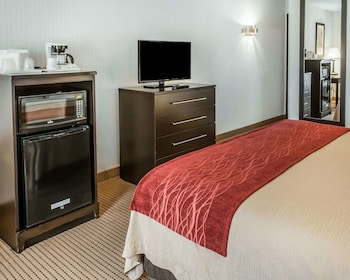 Standard Room, 1 King Bed, Non Smoking