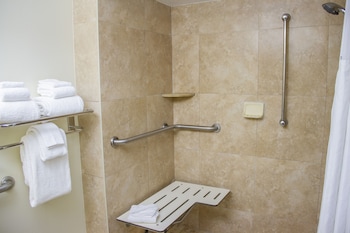 Room, 1 Queen Bed, Roll-in Shower