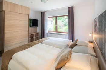 Standard Apartment, Multiple Beds (with Sofabed)