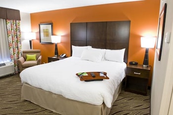 Suite, 1 King Bed with Sofa bed, Accessible, Bathtub (Mobility & Hearing)