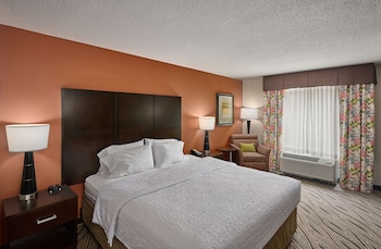 Suite, 1 King Bed with Sofa bed, Accessible, Bathtub (Mobility & Hearing)