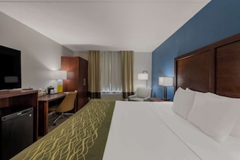 Room, 1 King Bed, Accessible, Non Smoking