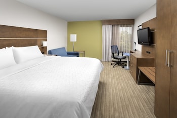 Standard Room, 1 King Bed with Sofa bed (Walk-In Shower)