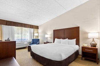 Standard Room, 1 King Bed, Non Smoking