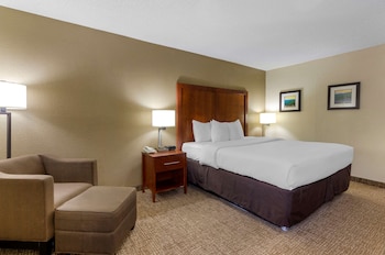 Room, 1 King Bed, Accessible, Non Smoking