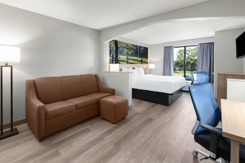 Deluxe Room, 1 King Bed, Non Smoking