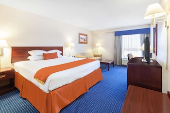 Room, 1 King Bed, Non Smoking (Spacious Room)