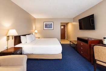 Business Room, 1 King Bed, Non Smoking