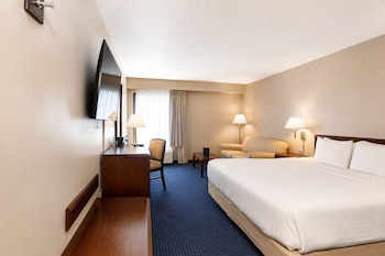 Business Room, 1 King Bed, Non Smoking