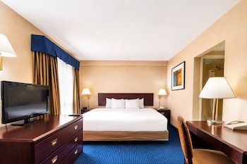 Junior Suite, 1 King Bed, Non Smoking