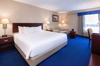 Room, 1 King Bed, Non Smoking (Spacious Room)