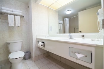 Room, 1 Queen Bed, Mobility Accessible, Non Smoking