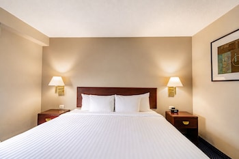 Suite, 1 King Bed with Sofa bed (Master Suite)