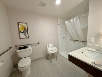 1 Queen Bed, Accessible