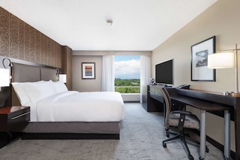 Room, 1 King Bed, Mountain View