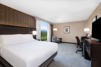 Room, 1 Queen Bed, Mountain View