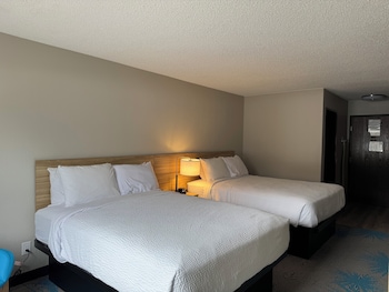 Studio, 2 Queen Beds, Non Smoking (Pet-friendly)