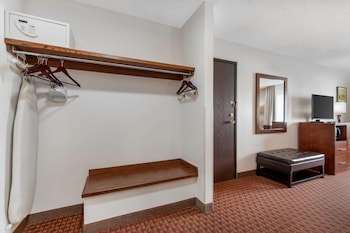 Business Room, 1 King Bed, Non Smoking