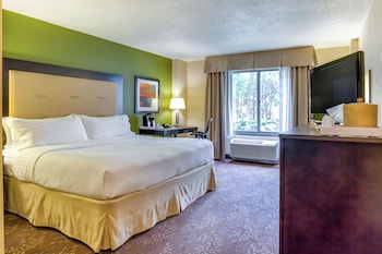 Suite, 1 Bedroom