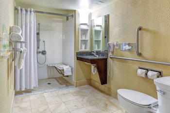 Standard Room, 1 Queen Bed, Accessible (Mobility, Roll-In Shower)