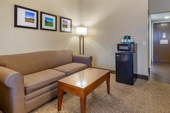 Suite, 1 King Bed with Sofa bed, Accessible, Non Smoking