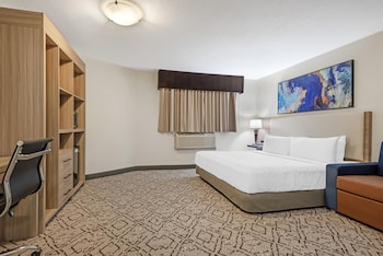 Standard Room, 1 King Bed, Accessible, Refrigerator & Microwave (Walk-in Shower;with Sofabed)