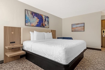 Standard Room, 1 King Bed, Non Smoking, Refrigerator & Microwave (Walk-in Shower)