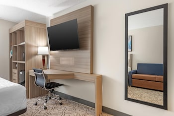 Standard Room, 1 Queen Bed, Non Smoking, Refrigerator & Microwave (Walk-in Shower;with Sofabed)
