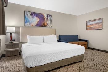 Standard Room, 1 King Bed, Accessible, Refrigerator & Microwave (Walk-in Shower;with Sofabed)