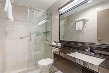 Standard Room, 1 King Bed, Non Smoking, Refrigerator & Microwave (Walk-in Shower)