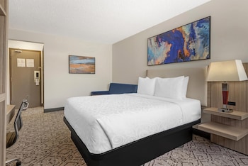 Standard Room, 1 Queen Bed, Non Smoking, Refrigerator & Microwave (Walk-in Shower;with Sofabed)