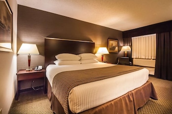Standard Room, 1 Queen Bed, Non Smoking, Refrigerator & Microwave (Walk-in Shower)