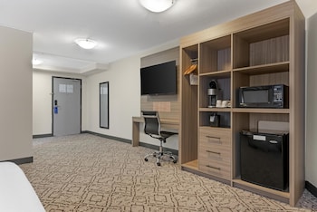 Standard Room, 1 King Bed, Accessible, Refrigerator & Microwave (Walk-in Shower;with Sofabed)