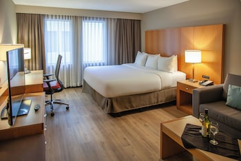 Standard Room, 1 King Bed with Sofa bed