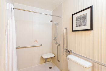 Standard Room, 1 King Bed, Roll-in Shower (Mobility)
