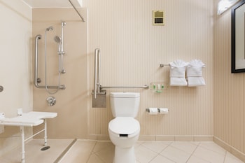 Standard Room, 1 King Bed, Roll-in Shower (Mobility)