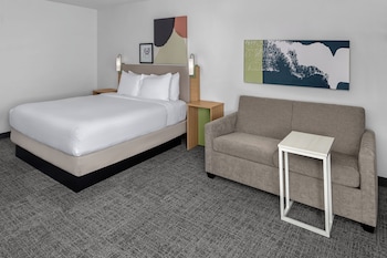 Room, 1 King Bed with Sofa bed