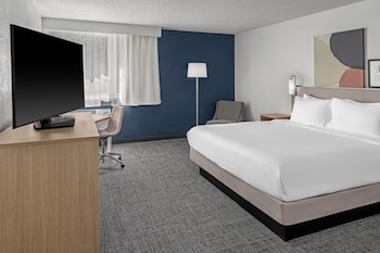 Room, 1 King Bed