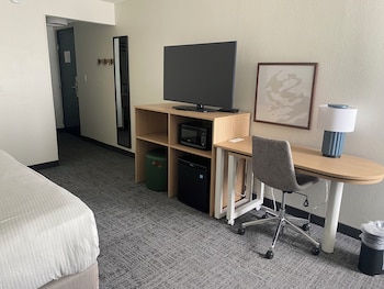 Deluxe Room, 1 King Bed, Non Smoking