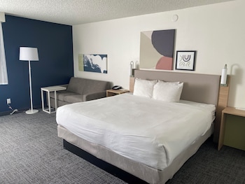Deluxe Room, 1 King Bed, Non Smoking