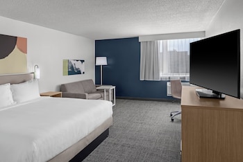 Room, 1 King Bed with Sofa bed